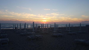 Oasy Apartament